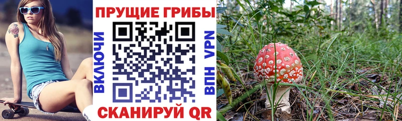 Псилоцибиновые грибы мицелий Кяхта